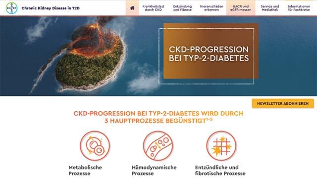 Screenshot ckd-info.de