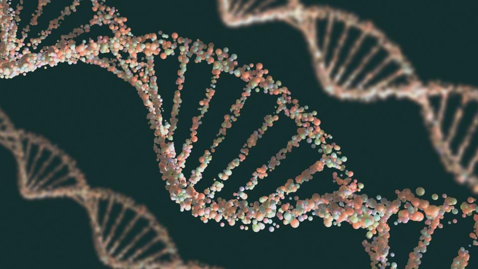 Doppelhelix